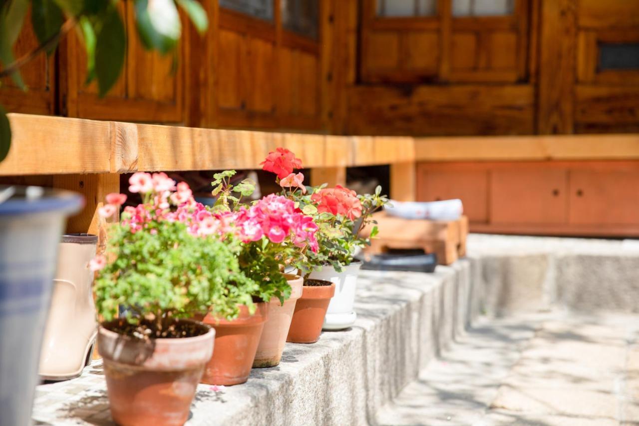 Dongmyo Hanok Sihwadang - Private Korean Style House In The City Center With A Beautiful Garden Seul Zewnętrze zdjęcie